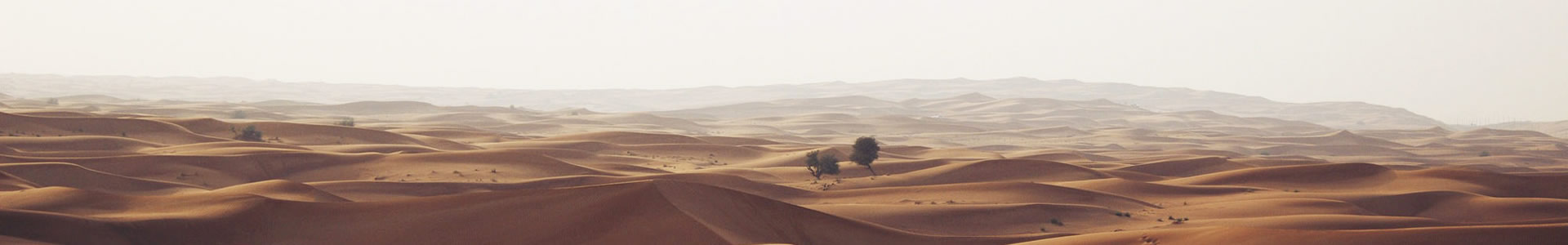 ݸպƼ޹˾